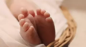 Kenenin ısırdığı bebek hayatını kaybetti