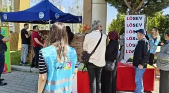 LÖSEV'den Kayseri'de 250 Aileye Et Dağıtımı