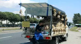 Aydın-Denizli Karayolunda Tehlikeli Sarımsak Yolculuğu