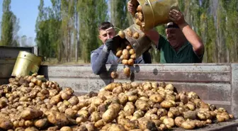 Tarımsal Girdi Fiyat Endeksi Yükseldi: Yıllık Artış %29,73