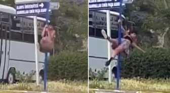 Trafikteki yön levhasında direk dansı yaptı