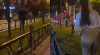 Türk bayrağını yakmaya çalıştı, kadının tepkisini görünce kaçtı