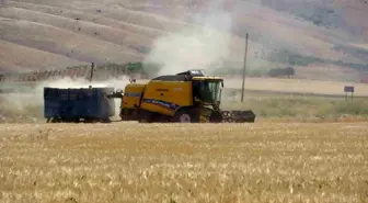 Adıyaman'da Hububat Hasadı Başladı, Rekolte Düşüklüğü Bekleniyor