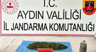 Aydın'da Uyuşturucu Operasyonunda 36 Şüpheli Yakalandı