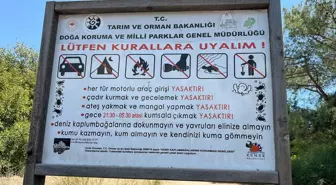 Deniz Kaplumbağalarını Koruma İçin Gece Girişler Yasaklandı