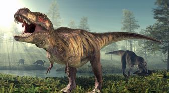 Dinozorlar hangi çağda yaşamıştır? Dinozorlar nasıl yok oldu?