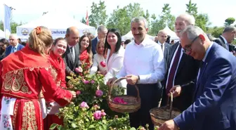 Edirne gülü, törenle hasat edildi