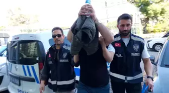 Samsun'da Eşine Şiddet Uygulayan Kişi Serbest Bırakıldı