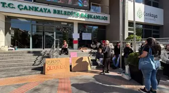 Ankara'da Hayvanseverler, Ölen Köpek İçin Protesto Düzenledi