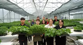 Erzincan'da Öğrenciler 1 Milyon Fide Üretmeyi Hedefliyor