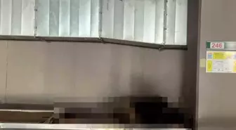 Marmaris'te Evsiz Bir Kişi Pazar Yerinde Ölü Bulundu