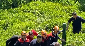 Rize'de Yamaçtan Düşen Çay İşçisi AFAD ile Kurtarıldı