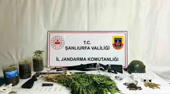Siverek'te Uyuşturucu Operasyonu: 42 Gözaltı