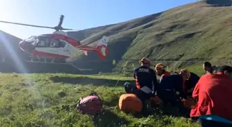 Van'da Dağda Mahsur Kalan Vatandaş Kurtarıldı