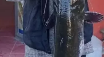 Balıkesir'de Metruk Binada Çıkan Yangında 1 Kişi ve 1 Köpek Hayatını Kaybetti
