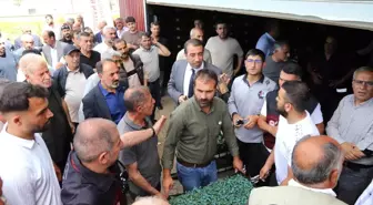 Bingöl'de Sebze Üretiminin Geliştirilmesi İçin 442 Bin Fide Dağıtıldı
