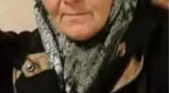 Çaybaşı'nda İntihar Olayında İki Tutuklama