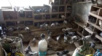 Balıkesir'de Çıkan Yangında 65 Yaşındaki Adam Hayatını Kaybetti