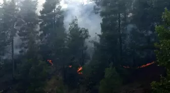 Kahramanmaraş'ta Orman Yangını Başladı