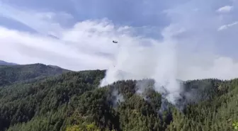 Kahramanmaraş'ta Orman Yangını: Ekipler Havadan ve Karadan Mücadele Ediyor