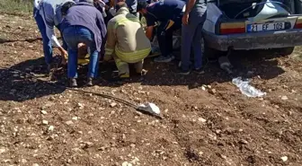 Mardin'de Tarlaya Yuvarlanan Otomobilde 2 Yaralı