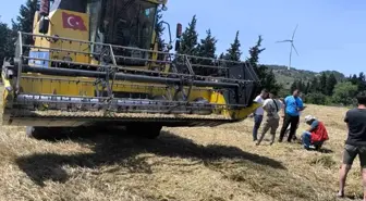 Muğla'da 2025 Biçerdöverle Hububat Hasadı Başladı
