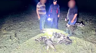 Bursa'da Kaçak Balık Avcılığına Baskın: 466 Kilo Balık Ele Geçirildi