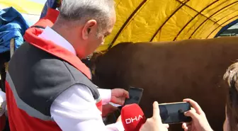 Ankara'da Kurban Bayramı İçin Denetimler Artırıldı