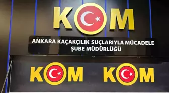 Yasak Hayvan Ticareti Operasyonu: 96 Egzotik Hayvan Ele Geçirildi