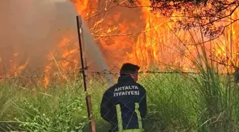 Antalya'da Çıkan Yangın, Yerleşim Yerlerini Tehdit Etti