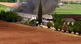 Bursa'da Canlı Hayvan Çiftliğinde Yangın Çıktı