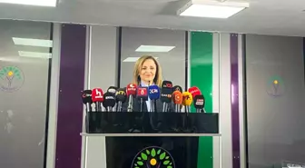 DEM Parti'den Yeni Anayasa Çağrısı