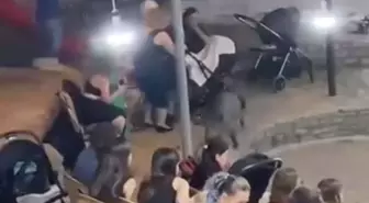 Bodrum'da Sokak Düğününe Domuzları Parkur: Panik Anları