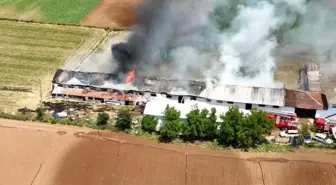 Bursa'da Hayvan Çiftliğinde Yangın: Canlı Hayvanlara Zarar Gelmedi