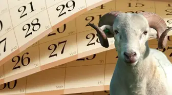 Kurban Bayramı tatili uzatılmadı! Kamuda mesai 10 Haziran Salı günü başlayacak