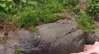 Rize'de Dere Suyunun Rengi Kırmızıya Dönüştü