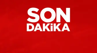 TSK'da FETÖ operasyonu! FETÖ operasyonunda kaç kişi gözaltına alındı?