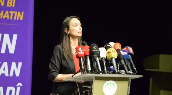 DEM Parti Eş Genel Başkanı Tülay Hatimoğulları: 'Tek Çaremiz Barış'