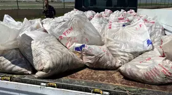 Ağrı'da Kaçak Avcılıkla Mücadele: 2 Ton İci Kefali Ele Geçirildi