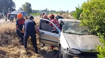 Hatay'da Narenciye Bahçesine Uçan Otomobilin Sürücüsü Yaralandı