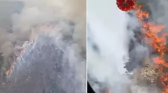 Foça'da tarım arazisinde çıkan yangın ormana sıçradı! Alevlerle mücadele sürüyor