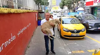 Duyarlı Taksici Bülent Marangoz'dan Örnek Davranış
