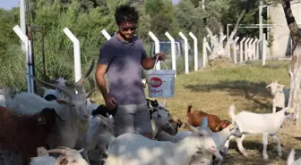 İki üniversite mezunu, yaptığı işi duyan şaşırıyor