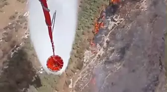 Foça'da Tarım Arazisinde Yangın: Havadan ve Karadan Müdahale Devam Ediyor
