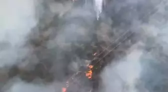 Urla'da Makilikte Yangın Çıktı