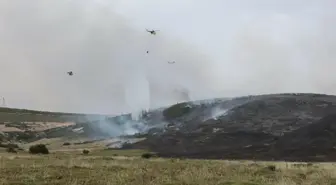 Foça ve Urla'daki Yangınlar Kontrol Altına Alındı