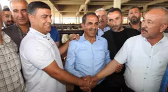 Kurban Bayramı Öncesi Gaziantep'te Hayvan Pazarlarında Hareketlilik Yaşanıyor