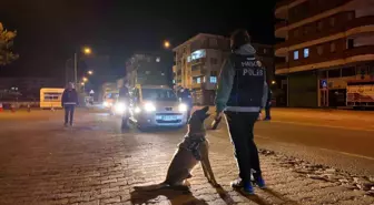 Artvin'de Uyuşturucu ile Mücadelede Narkotik Köpeği Pars Öne Çıktı