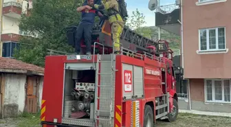 Fareleri kaçırmak için yaptıkları plan, tüm mahalleyi zehirliyordu