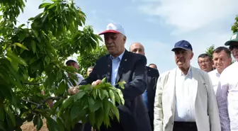 Zirai Don, Türkiye'de Tarımda Tarihin En Büyük Felaketine Neden Oldu